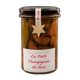 Les petits Champignons des Bois